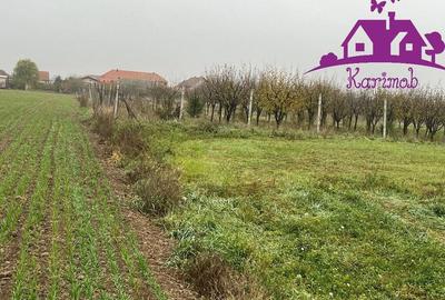 Teren de 2421 mp, în Nojorid