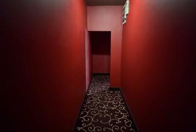 Spațiu comercial, de 52 mp, în Rogerius - 7