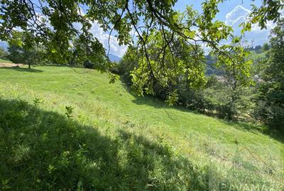 Teren intravilan de vanzare, cu vedere catre Castelul Bran - 4