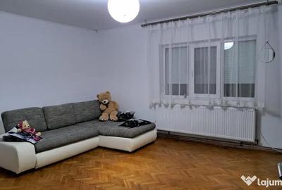 Apartament cu 4 camere decomandat în Aradul Nou - 8