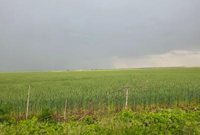 Teren agricol intravilan de 4840 mp, în Brănești - 1