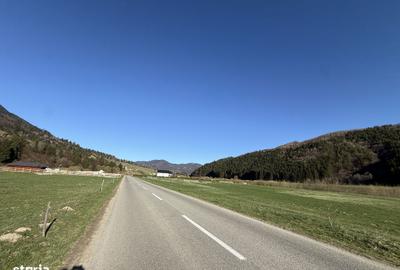 Spațiu comercial, în Plaiul Foii - 7