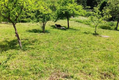 Casă cu 3 camere în Bradu - 6