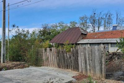 Casă cu 4 camere în Fierbinții de Jos - 8