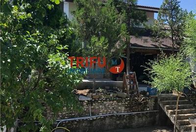 Casă cu 4 camere cu Teren 3000 Mp în Cricău - 11