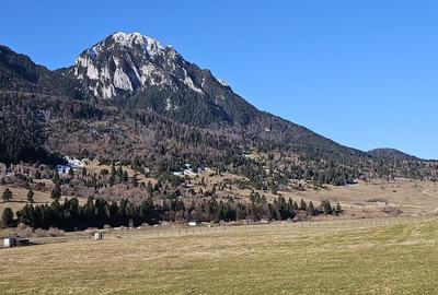 Spațiu comercial, în Plaiul Foii - 1