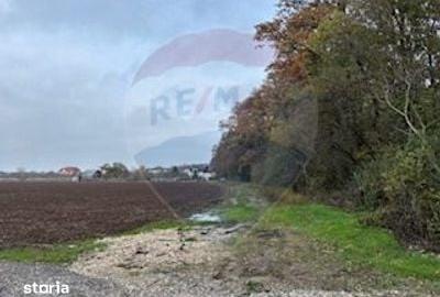 Teren de 1100 mp, în Snagov - 4