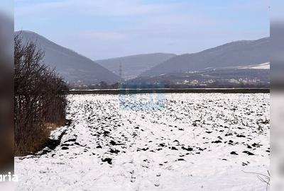 Teren de 2000 mp, în Central