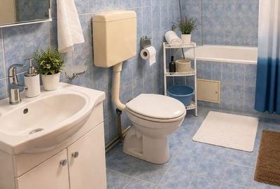 Casă cu 3 camere în Cristian - 3