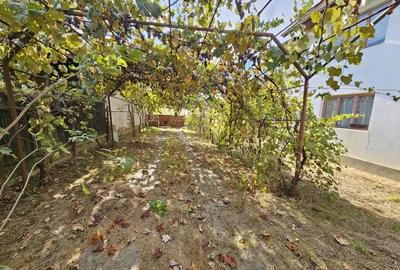 Vanzare casa P+1, in comuna Dane?ti, sat ?asa - la 10 km distan?a de Tg. Jiu - 2