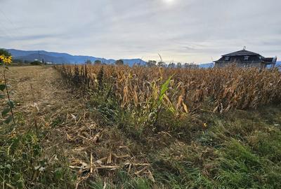 Teren intravilan Hateg - 1