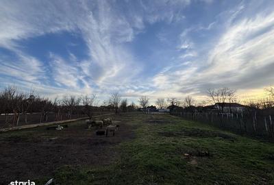 Casă cu 4 camere cu Teren 2000 Mp în Central - 4