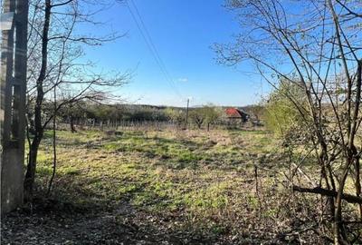 RECO teren de in zona de Dealuri Oradea - 1