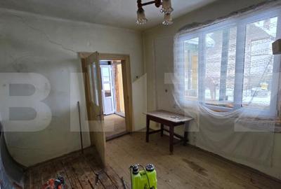 Casa cu teren 32 ari Viile Tecii, la 30 km de Bistri?a - 13