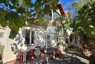 Casa curte- Metrou Pieptanari - 1