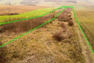 RECO Teren in Burzuc 13 041mp - 7