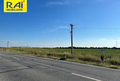 Terenuri cu deschidere 20m la Centura in suprafata  de 5950 mp si 6481 mp - 5