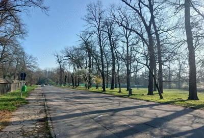 Umt - garsoniera - 8