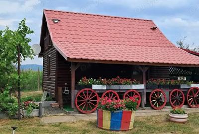 Teren de vanzare Teren de vanzare - 3