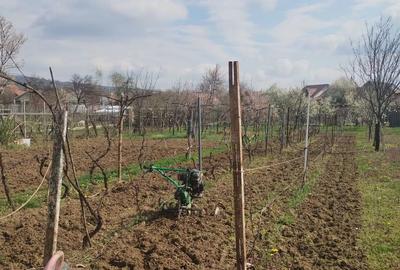 Casă cu 2 camere cu Teren 1100 Mp în Oituz - 9