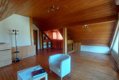 BARBU VACARESCU-LACUL TEI vila 7 camere - 13