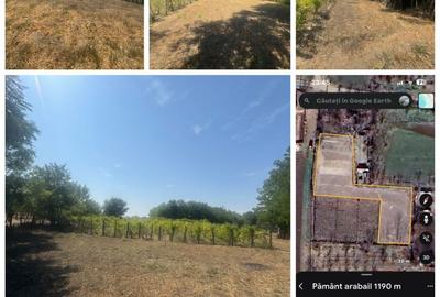 Casă cu 3 camere în Floroaica - 5