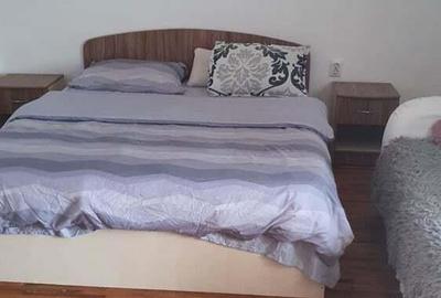 Apartament 1 camera ,bloc tip-vila,zona Crisan - 2