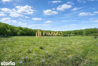 Teren de 2100 mp, în Mitocu Dragomirnei - 1