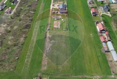 Teren de 1343 mp, în Cătălina - 1