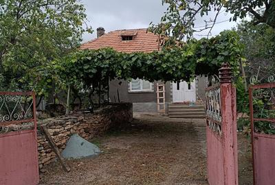 Casă cu 4 camere în Ceamurlia de Sus - 6