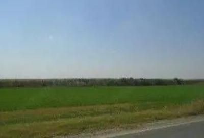 Teren cota parte 1/6, Branistea, ID: R2757177 - 4