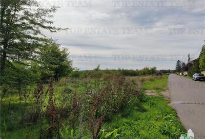 Teren de 20000 mp, în Corbeanca - 1