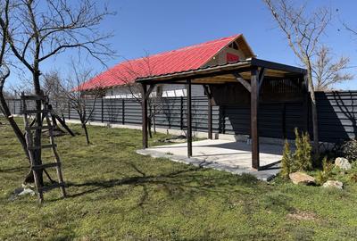 Teren de 974 mp, în Dobromira - 4