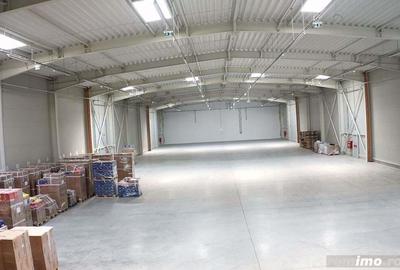 Hala complet echipata, nou construita langa aeroportul interna?ional Traian Vuia - 1