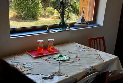 Vand casa langa Variasu Mic - 1