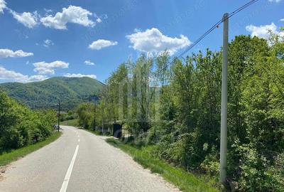 Teren de 1000 mp, în Sibiel - 2