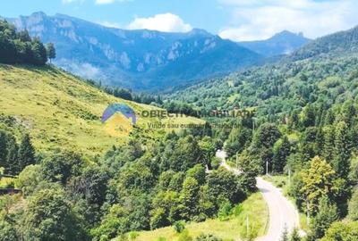 TEREN Izvoru Muntelui, langa orasul BICAZ - 3