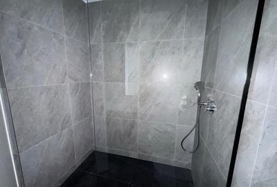 Apartament cu 2 camere semidecomandat în Herăstrău - 9