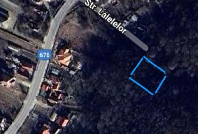 Vand teren cu padure 4000 mp intravilan constructii Budesti - 1