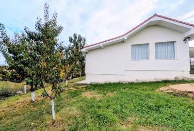 Casa noua cu priveli?te superba, situata intr-o zona lini?tita din Paleu - 11