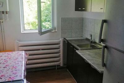 Apartament cu 2 camere semidecomandat în Tudor Vladimirescu - 5