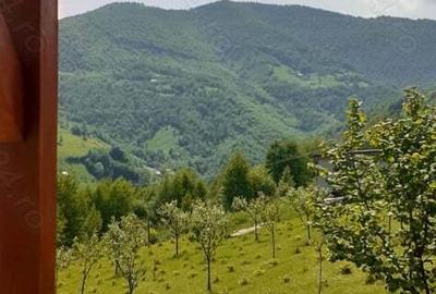 Cabana cu teren la munte - 4