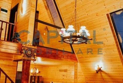 Oportunitate! Casa de vacanta A-frame, judetul Arges - 8