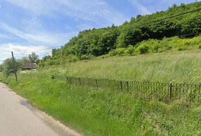 Teren de 4900 mp, în Almașu