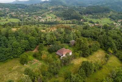 Casă individuală cu 3 camere cu Teren 9995 Mp în Ormindea - 4