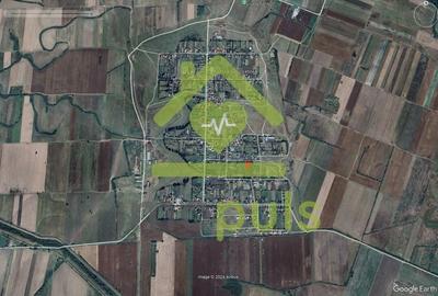 🗺️ Teren in suprafata de 800 mp in Dragsina. (31,25 Euro/mp)✨ - 2