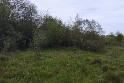 Spațiu comercial, în Stațiunea Climaterică Sâmbăta - 3