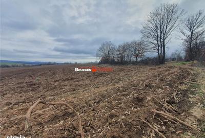 Spațiu comercial, în Izvoarele