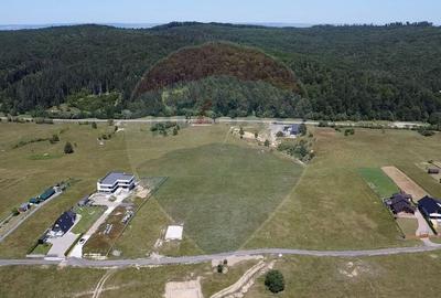 Teren 3,757mp Paltinoasa / Strada principala - 13