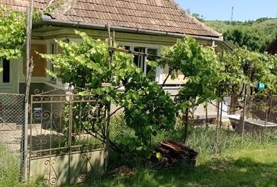 Casă cu 3 camere în Călărași - 2